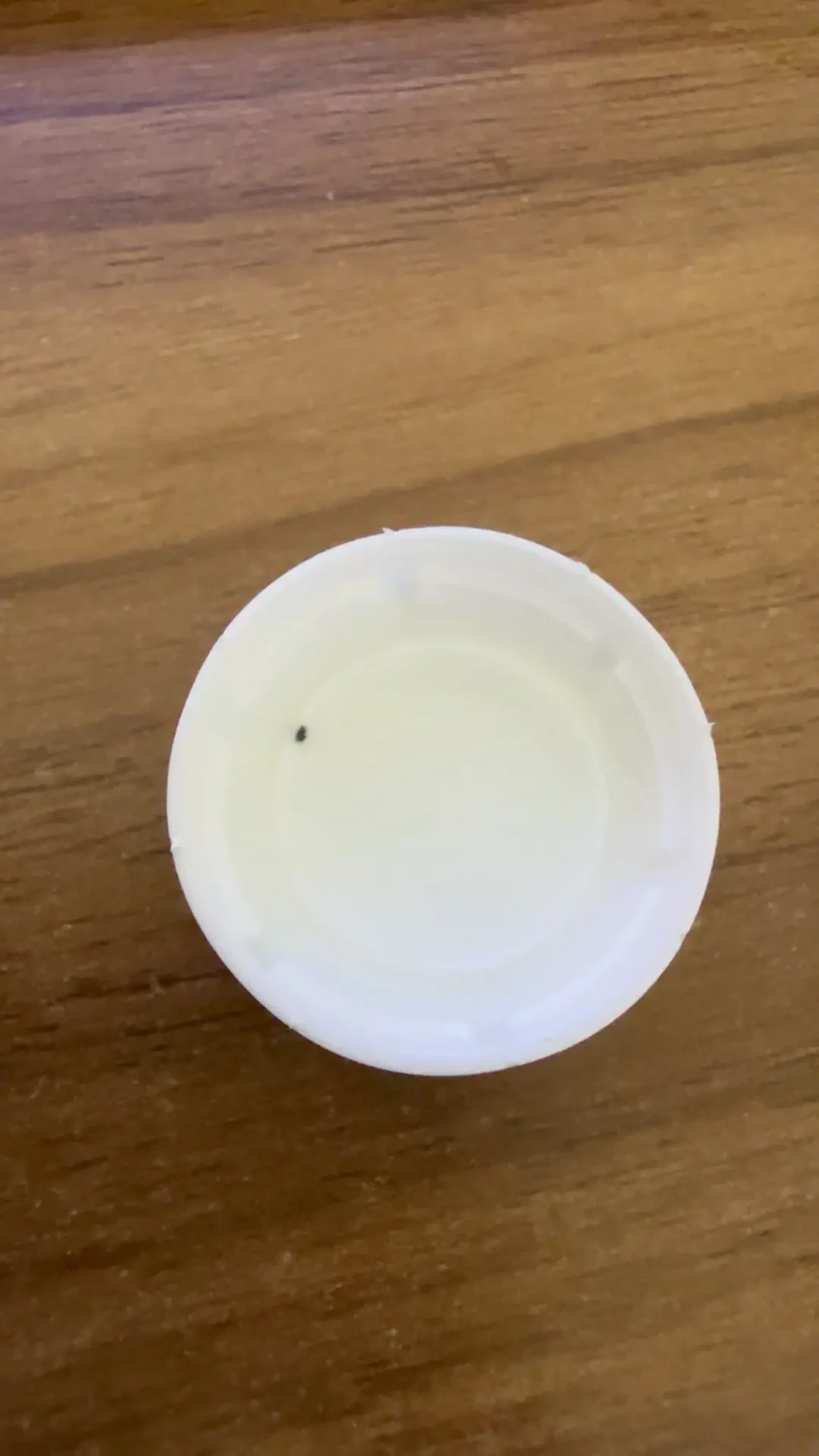 蛋白粉翻倍涨价,液体蛋白顺势爆火:算完每克蛋白成本,才明白8块一瓶是给谁准备的