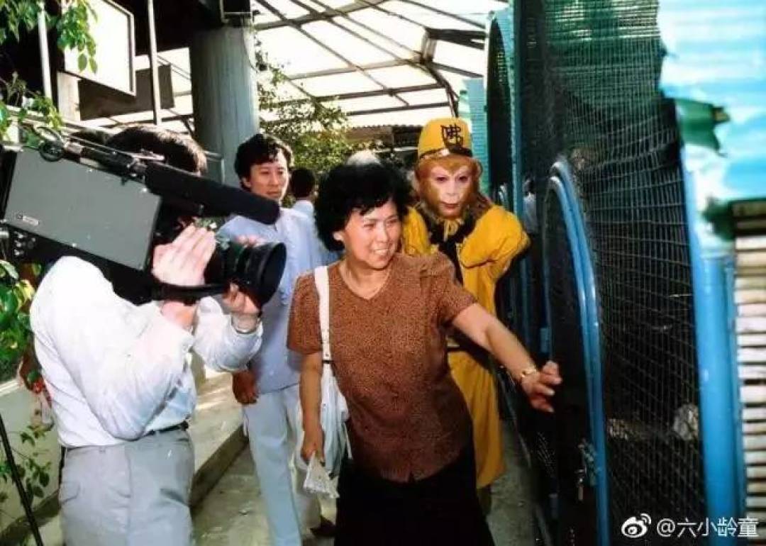 杨洁为什么说“我恨不得《西游记》不成功”?这段恩怨的真相,比你想的复杂