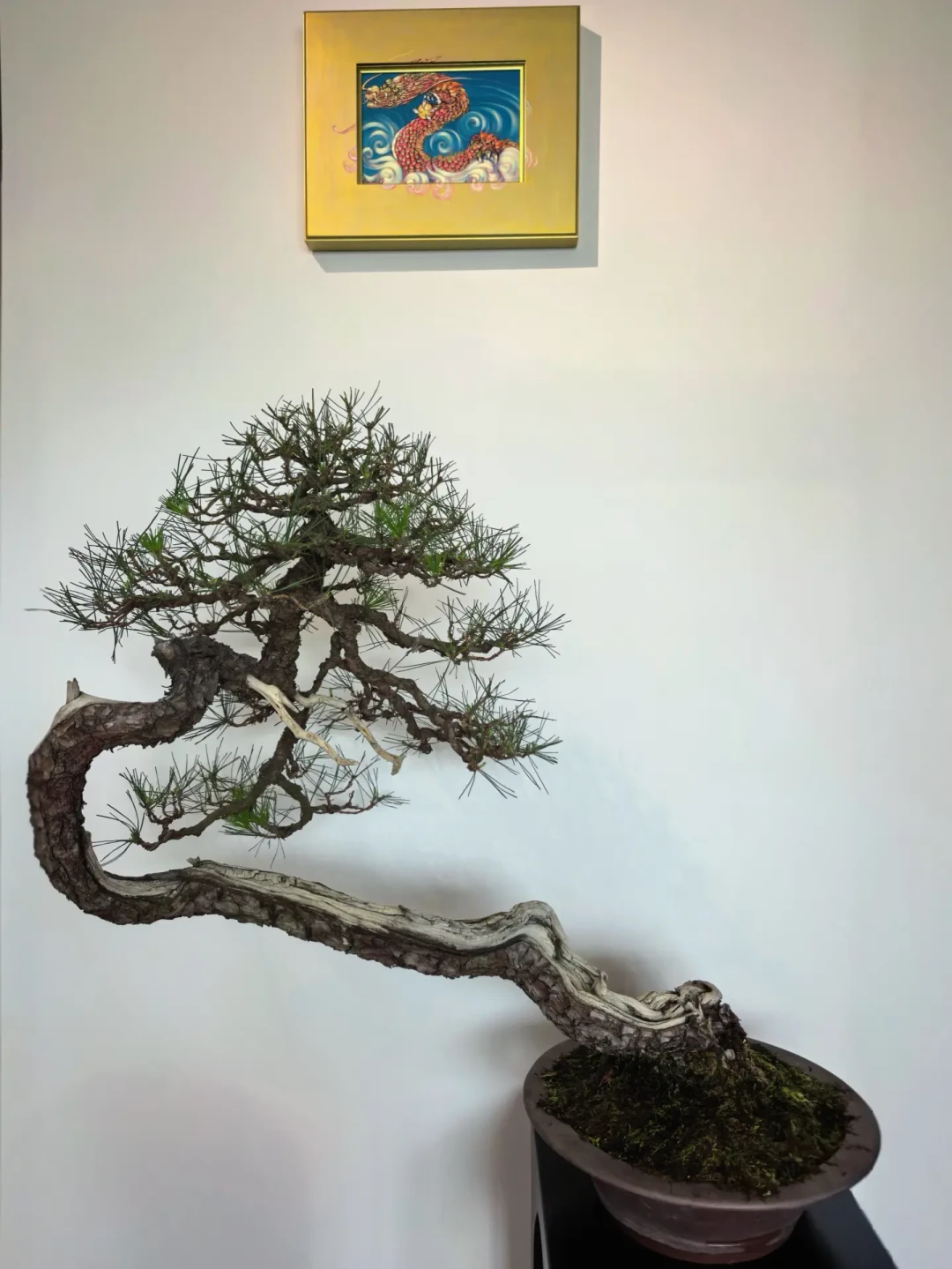 5万买的