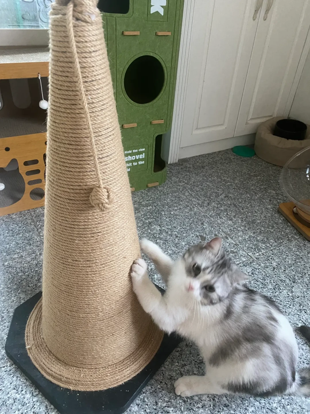 十几块买卷绳,就能给猫搓出抓家具:剑麻、黄麻、牛皮纸绳的区别、成本和坑都在这