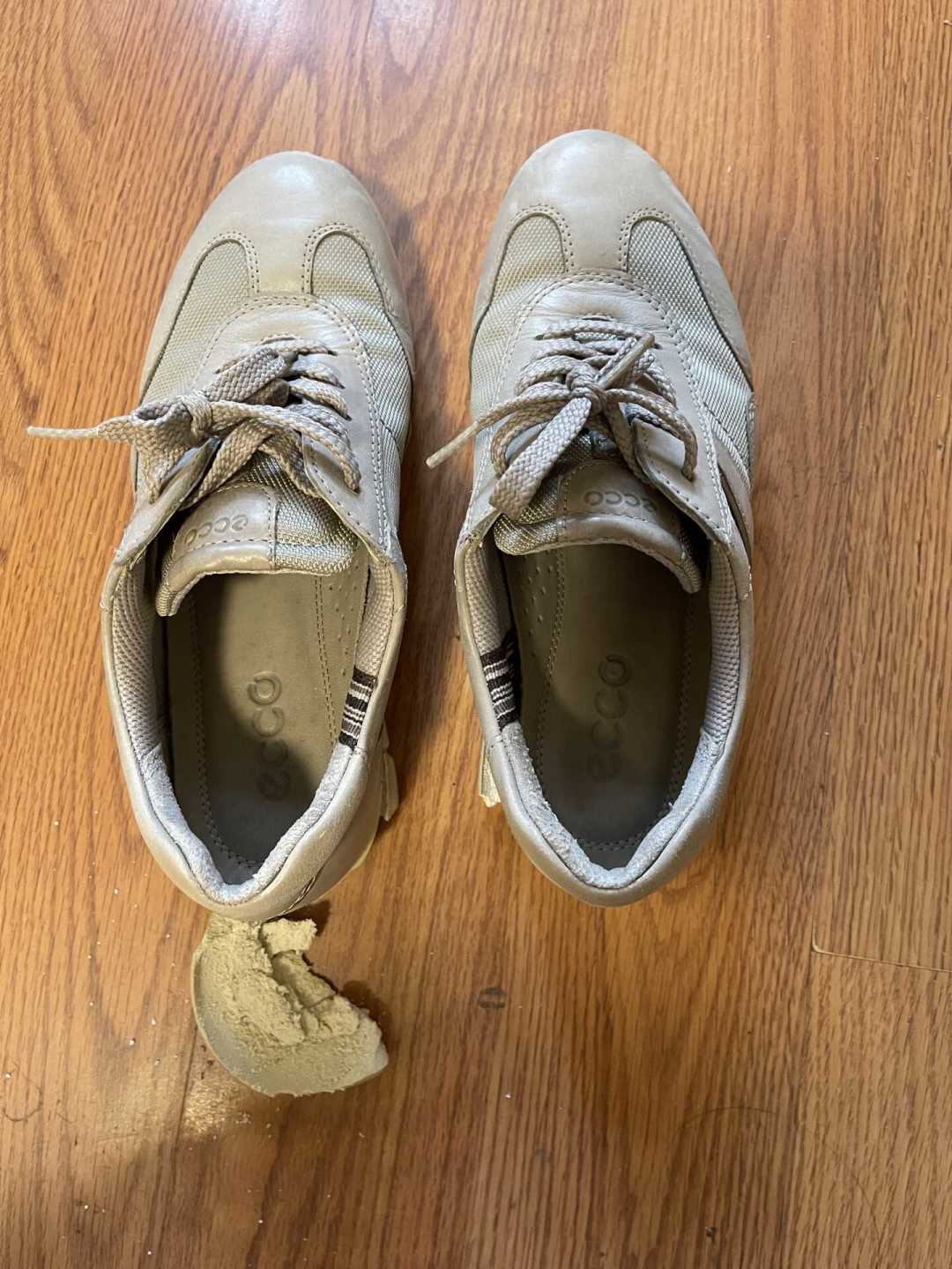 上千元ECCO在鞋柜里碎成渣？越舍不得穿坏得越快：PU底水解避坑与自救指南
