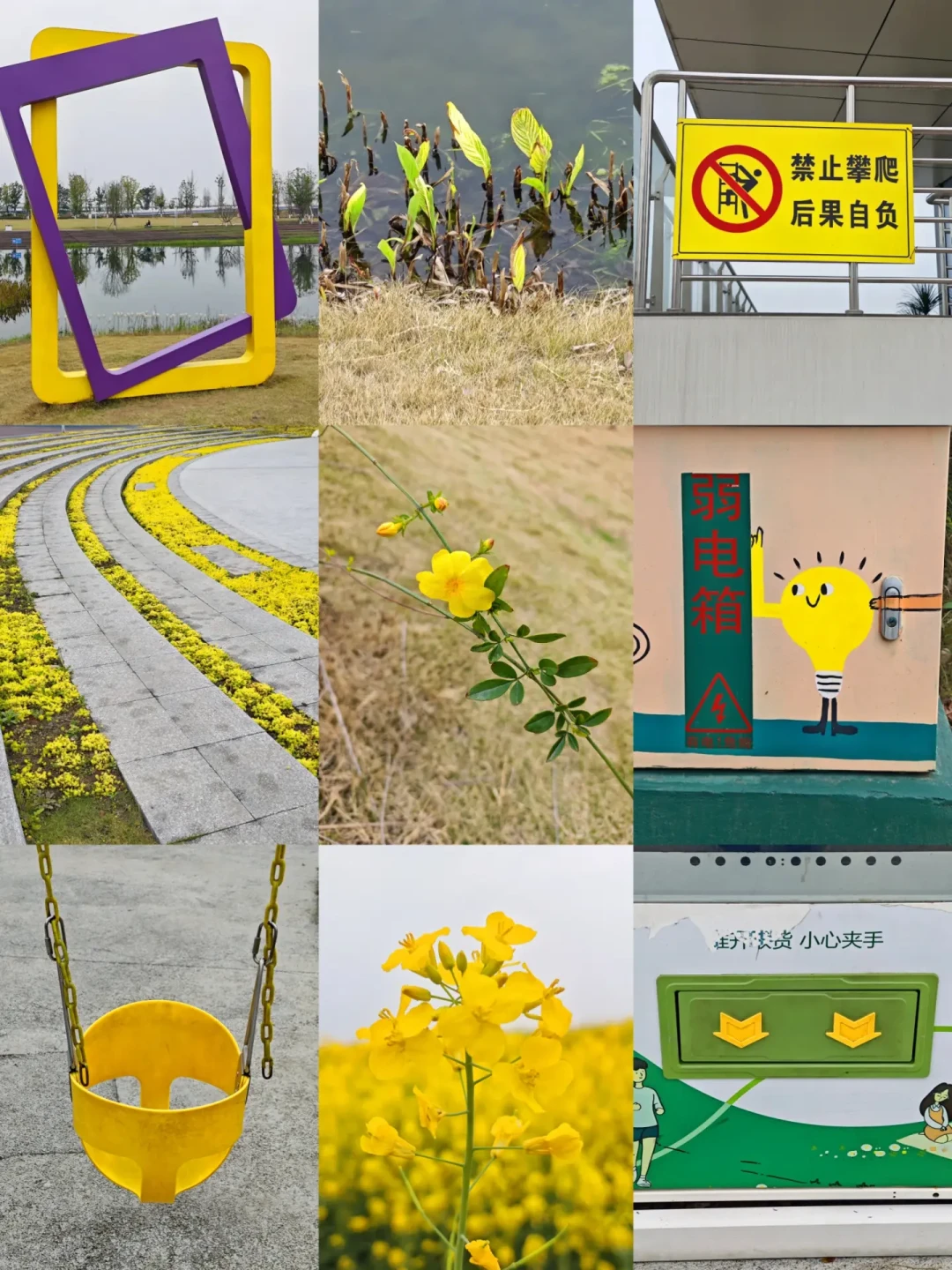 ColorWalk火了半年还没凉:夏末出门找颜色前,先看这份避坑与抄作业指南