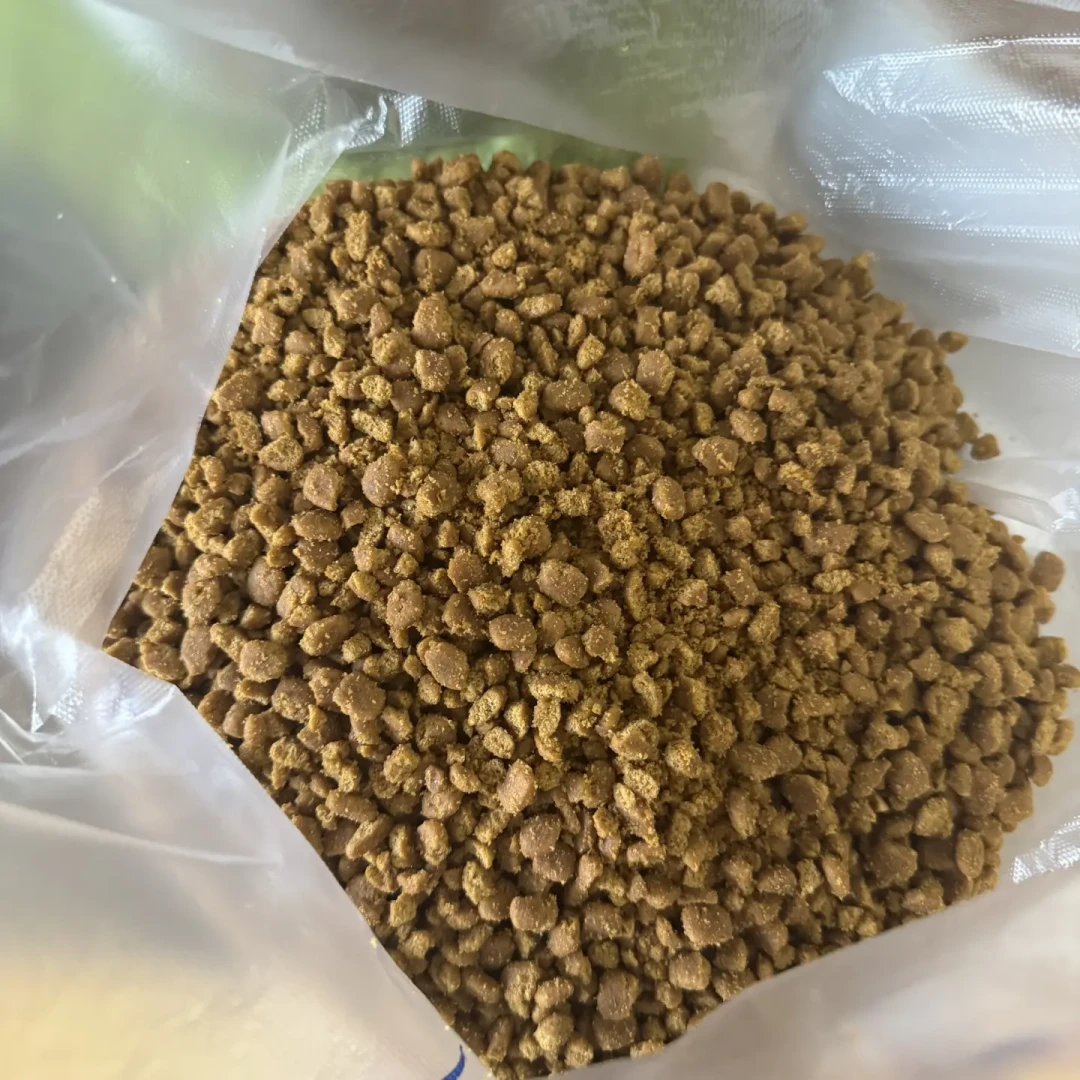 老年犬吃饭越来越慢，别急着怪它挑食：「咬不动」判断信号清单+五种软食方案对比