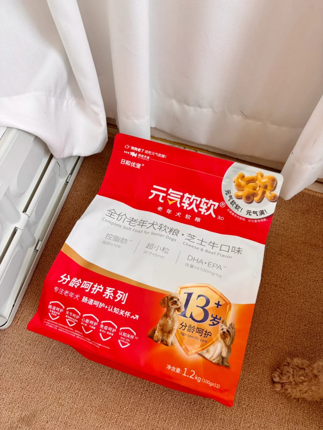 老年犬吃饭越来越慢，别急着怪它挑食：「咬不动」判断信号清单+五种软食方案对比