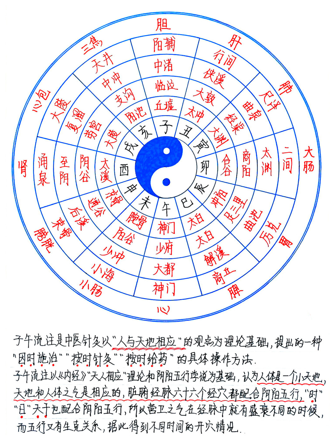收藏夹里的子午流注表:对照现代生物钟逐条核对,哪些该留哪些该删