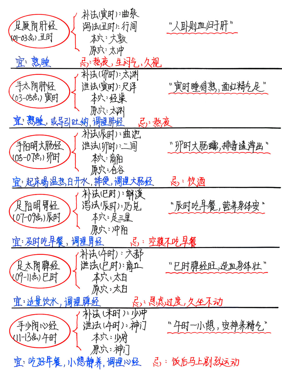 收藏夹里的子午流注表:对照现代生物钟逐条核对,哪些该留哪些该删