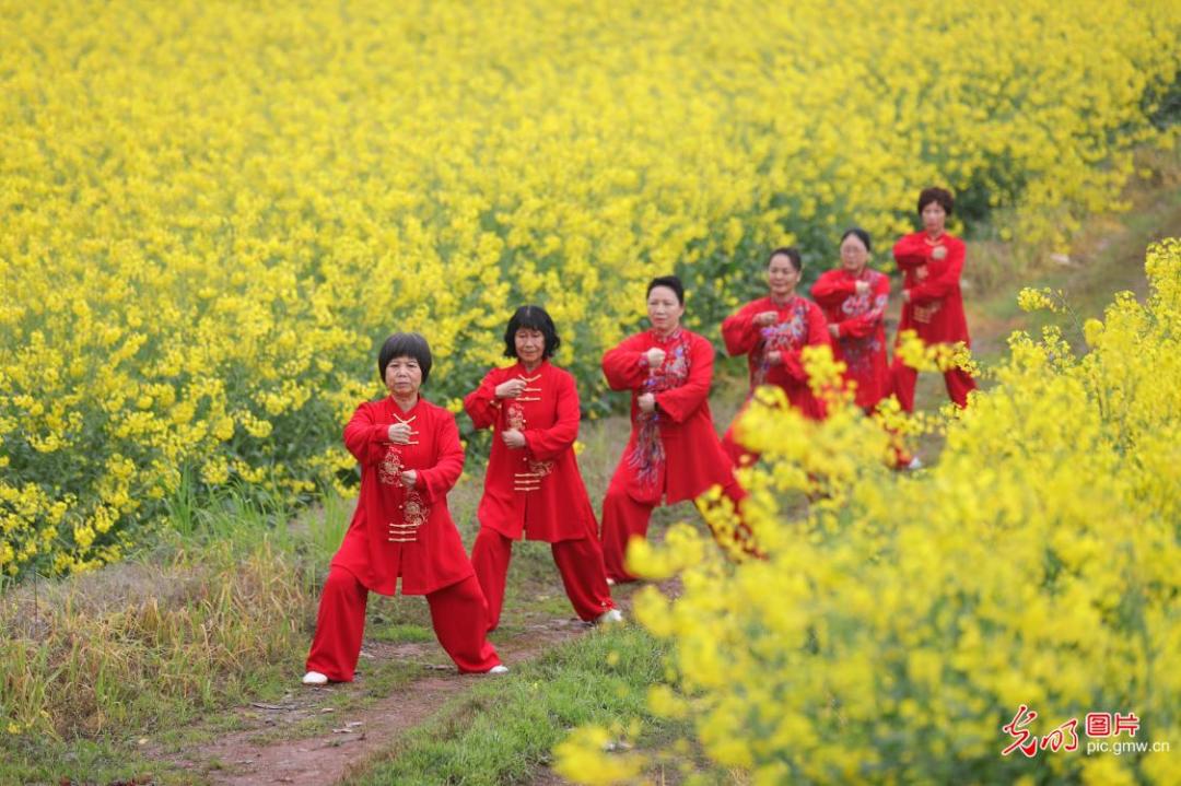顶级医学期刊证实太极能改善膝盖痛,但不少人练废了膝盖,问题出在哪?