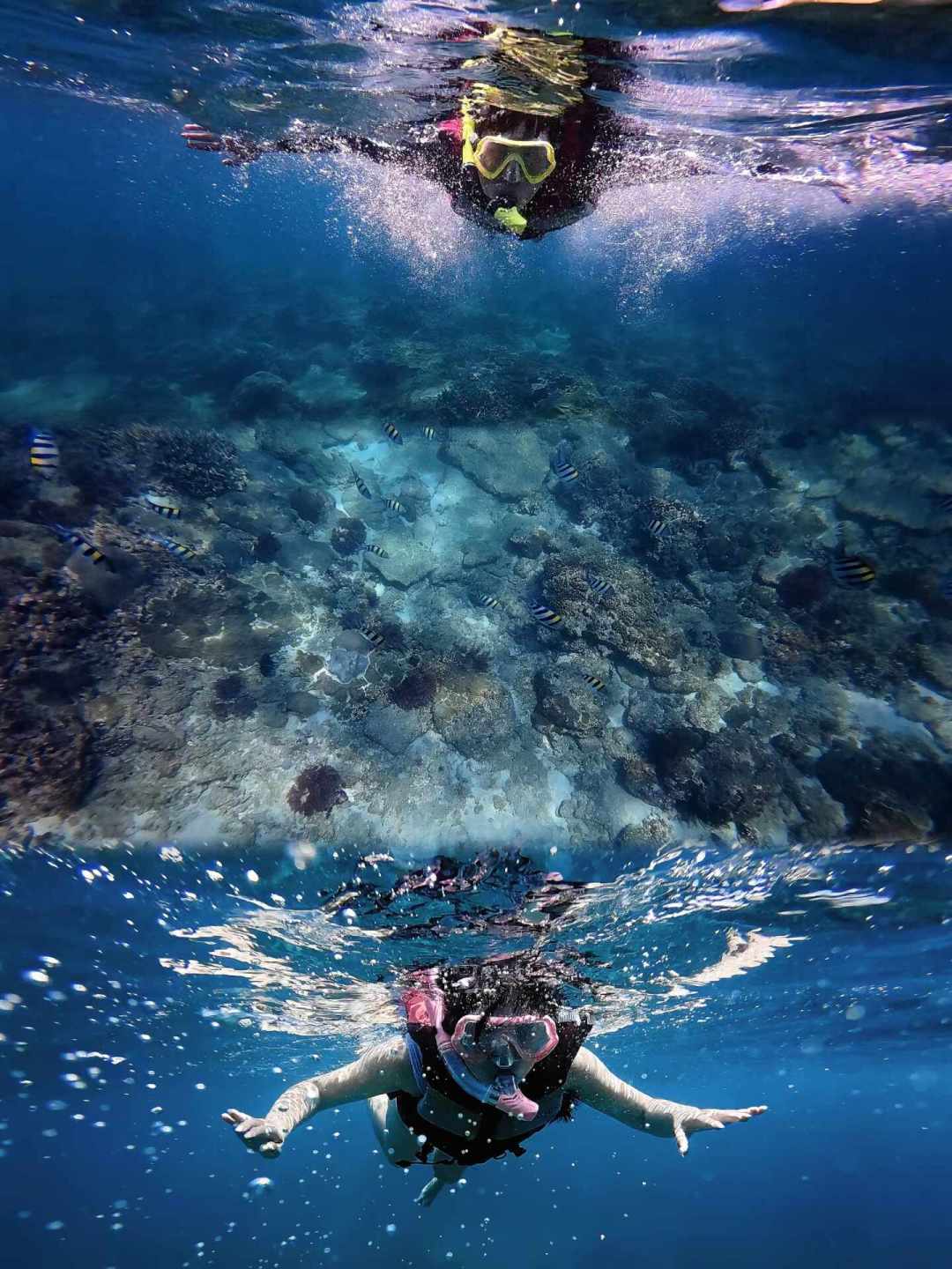 水深不到1米，一对中国新婚夫妇双双溺亡：浮潜前，把这篇看完再下水