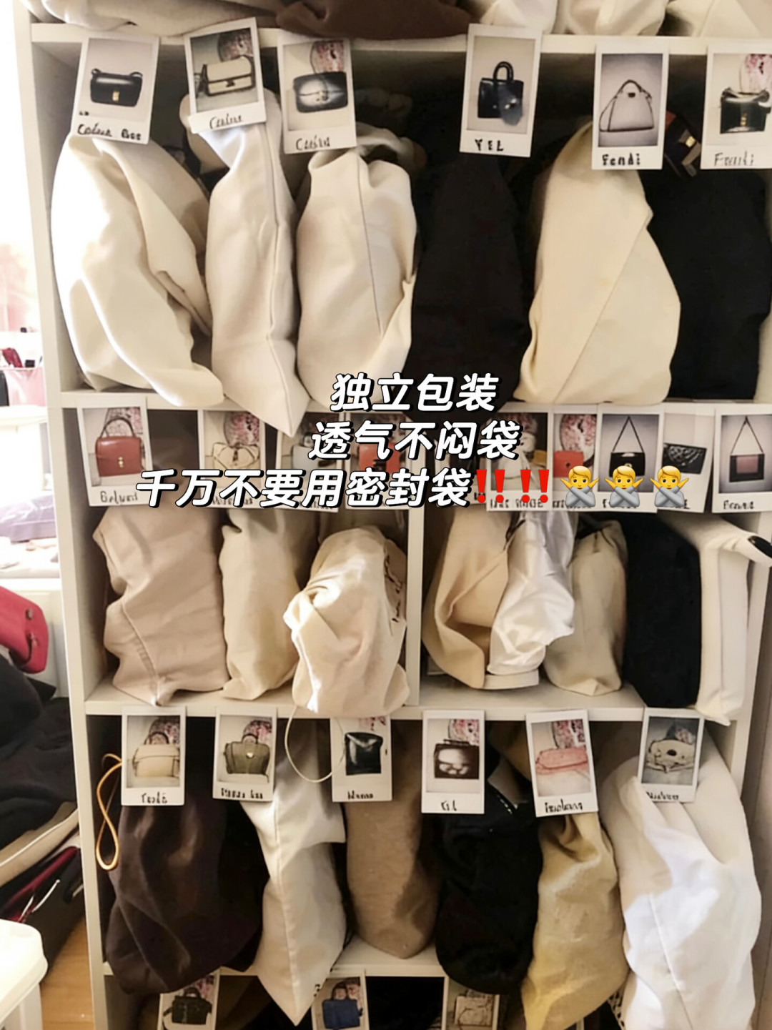半年没开柜,皮包长满'白毛'?先别急着擦,那层白不一定是霉