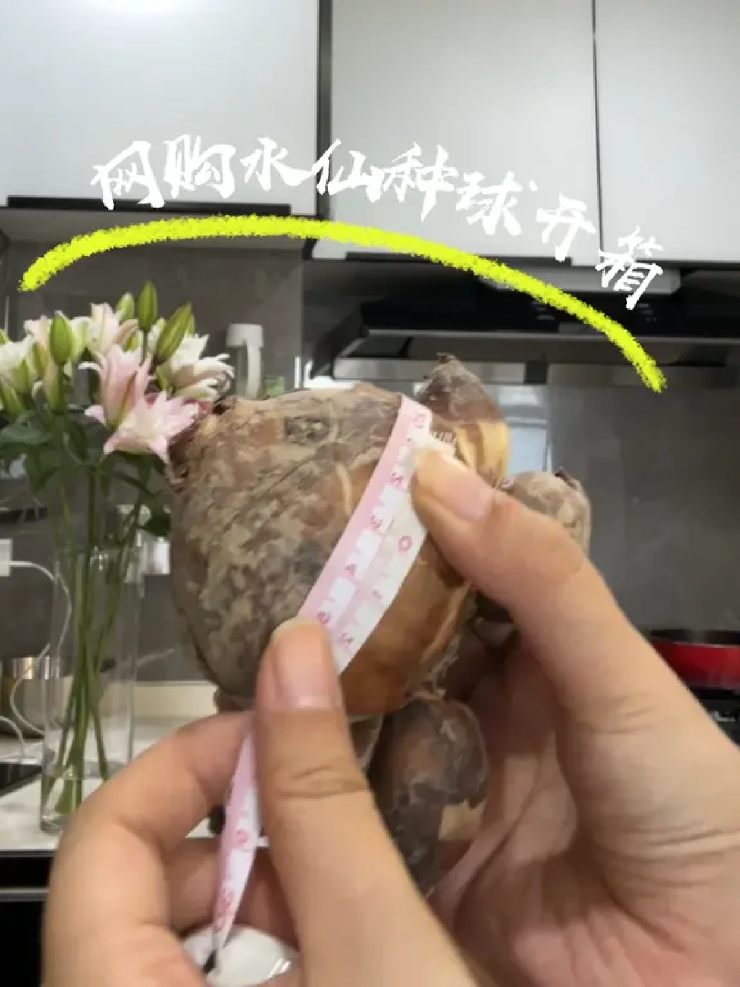 水仙种球5.9元3个刷屏：想雕年宵水仙的，先别急着占这个便宜