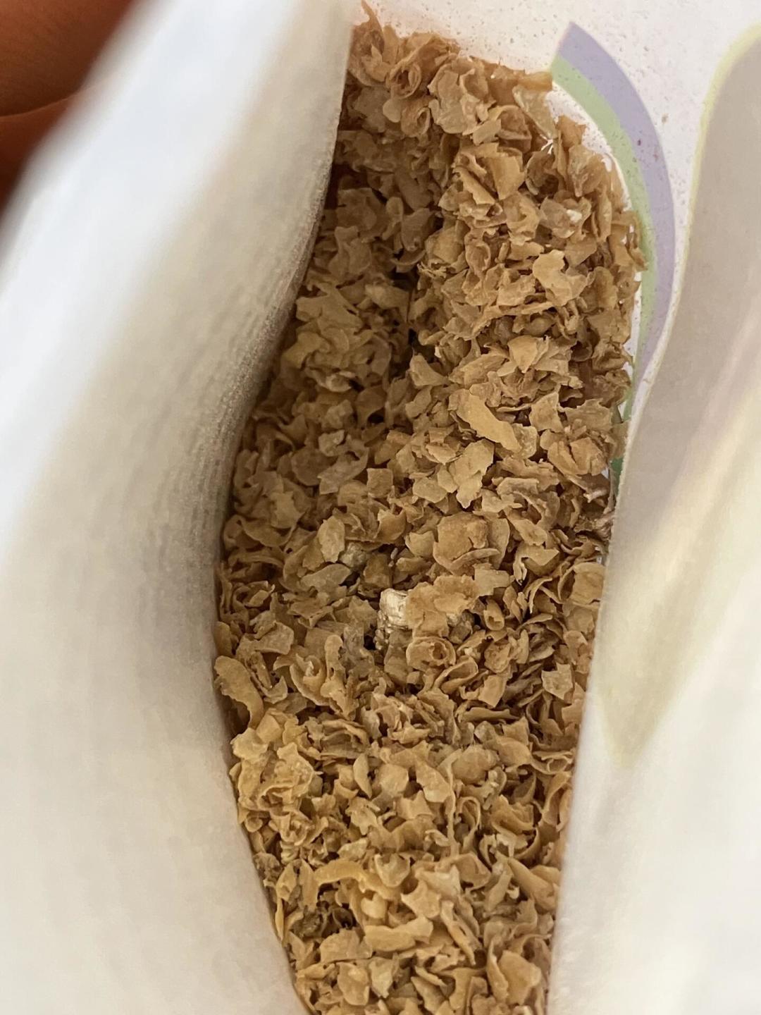 以虫治虫上新闻了:阳台红蜘蛛不想喷药,先看完这份捕食螨避坑指南再买
