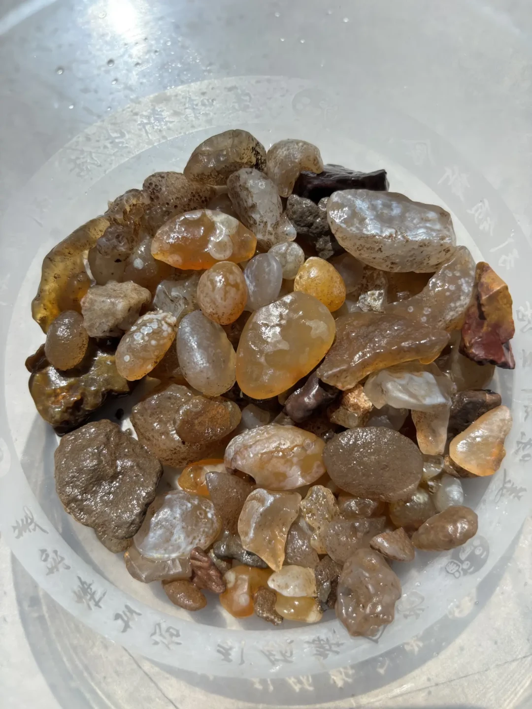 一边喊避雷,一边喊值回票价:我翻了20多篇乌兰哈达火山刚回来的实测,把这笔账算清楚了