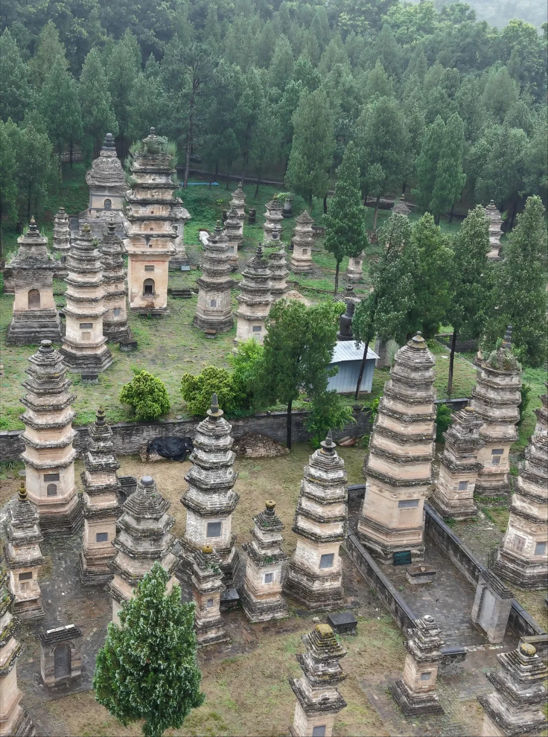 少林寺的80元门票,一半的值在这场功夫表演:每天6场免费,但不懂排队规则会吃亏