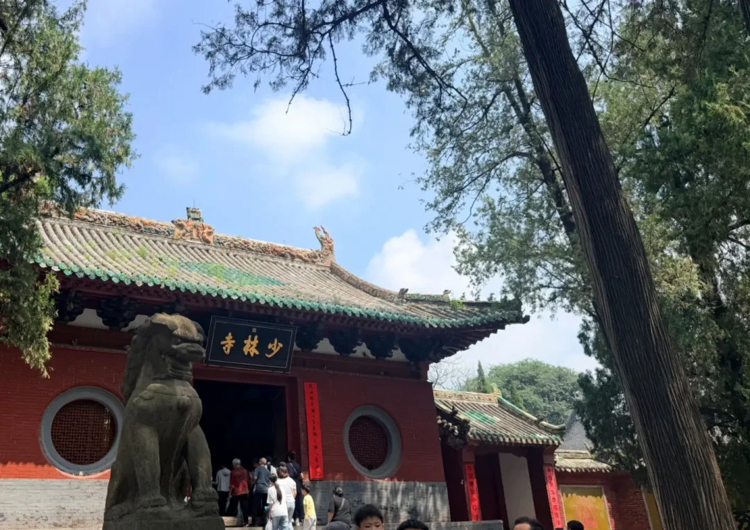 少林寺的80元门票,一半的值在这场功夫表演:每天6场免费,但不懂排队规则会吃亏