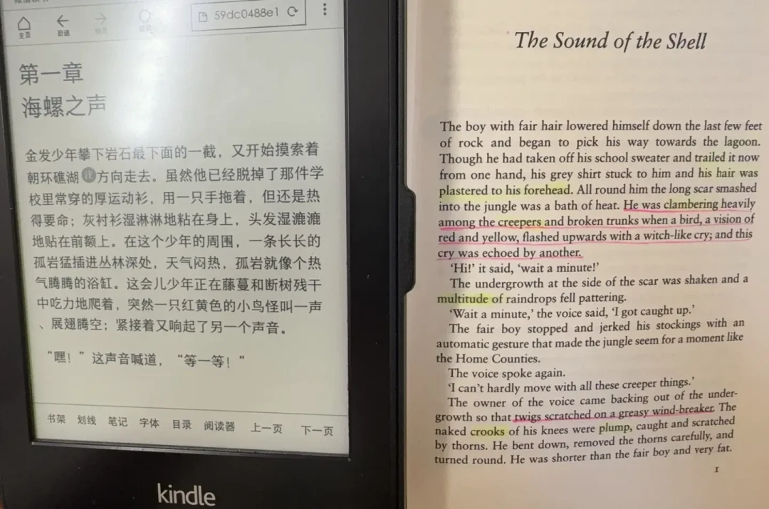 《蝇王》又上开学书单，但先别急着买给孩子：适读年龄、译本争议、三个版本怎么选，一篇说清