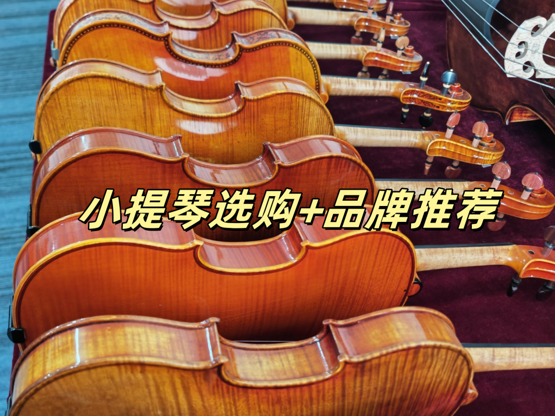 第一把小提琴买500元的还是3000元的？翻遍知乎和小红书避坑帖，我把四派说法理清了