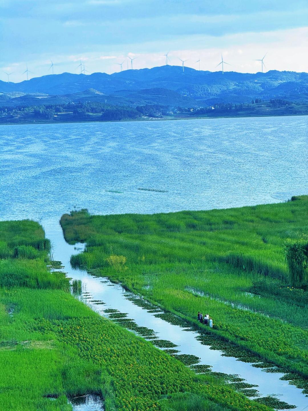 拉萨3650米vs威宁2200米:8月23日两场高海拔半马同日开跑,到底会慢多少?