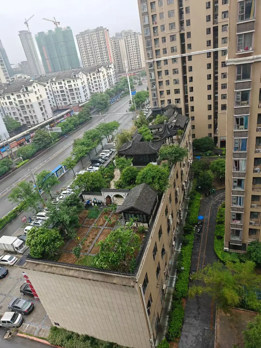 秋老虎还在发威,处暑就要到了:屋顶露台秋播别看日历,看这两条夜温线
