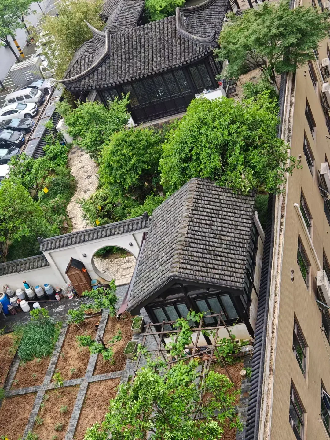 秋老虎还在发威,处暑就要到了:屋顶露台秋播别看日历,看这两条夜温线