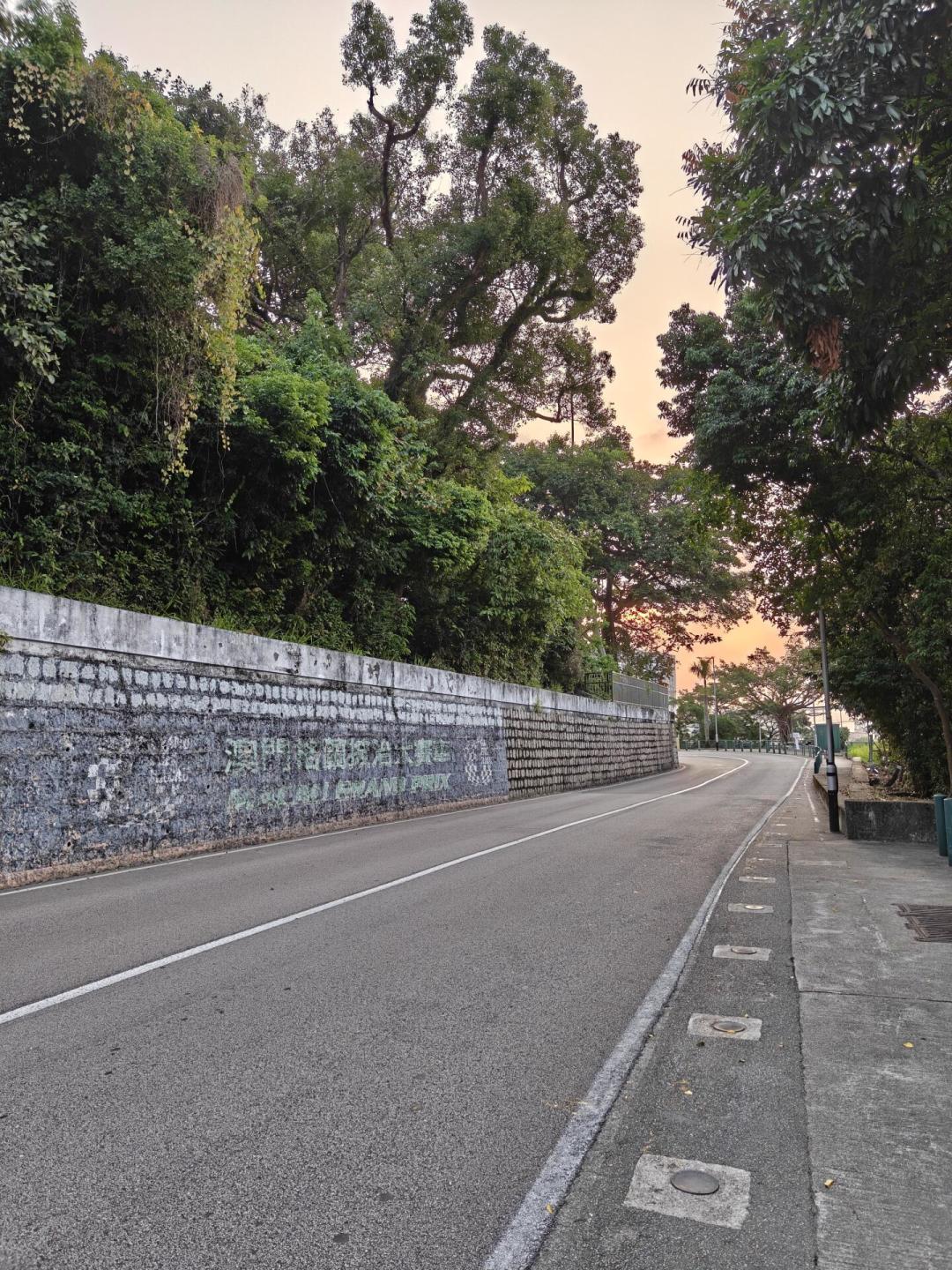 澳门大赛车定档11月19日:第一次去东望洋,看台、门票、预算一次想清楚