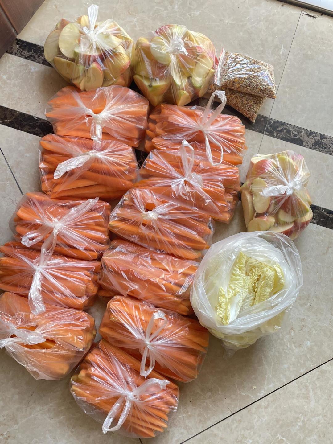 龙之梦车行区投喂,胡萝卜能自带吗?最近去的江浙沪家长给出答案了