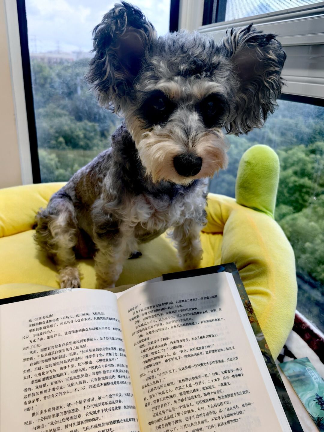读书会如雨后春笋，避雷帖也在刷屏：先看清这6类“假读书会”，再决定要不要掏钱