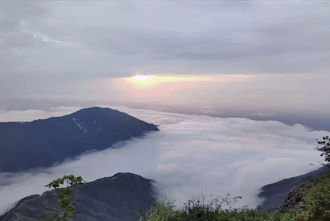 大庙只能带一根高香进门:南岳衡山暑期香规更新与费用账