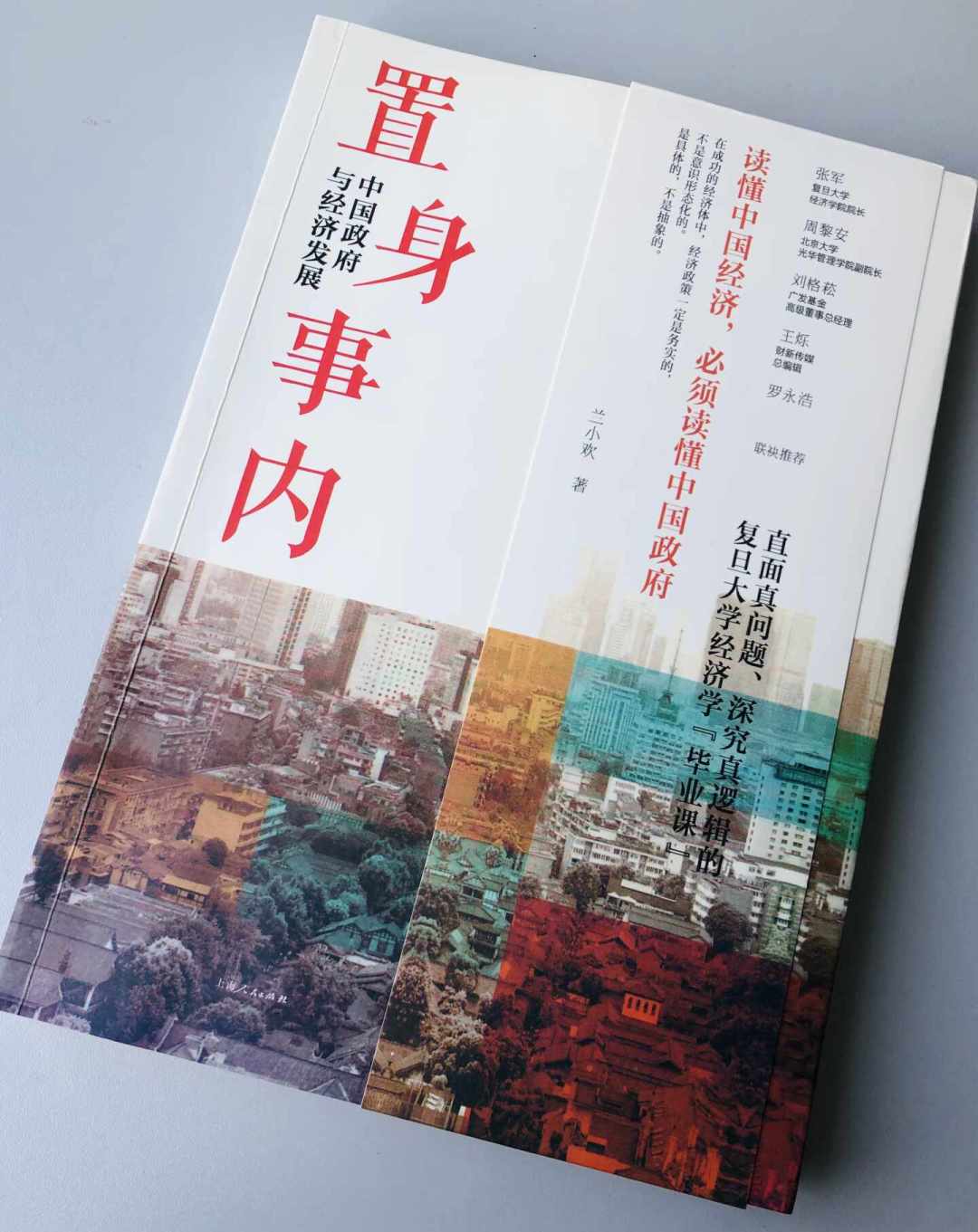 读完《置身事内》,别急着把51本续读书单全买回来:有人花四年读完,留下了大实话