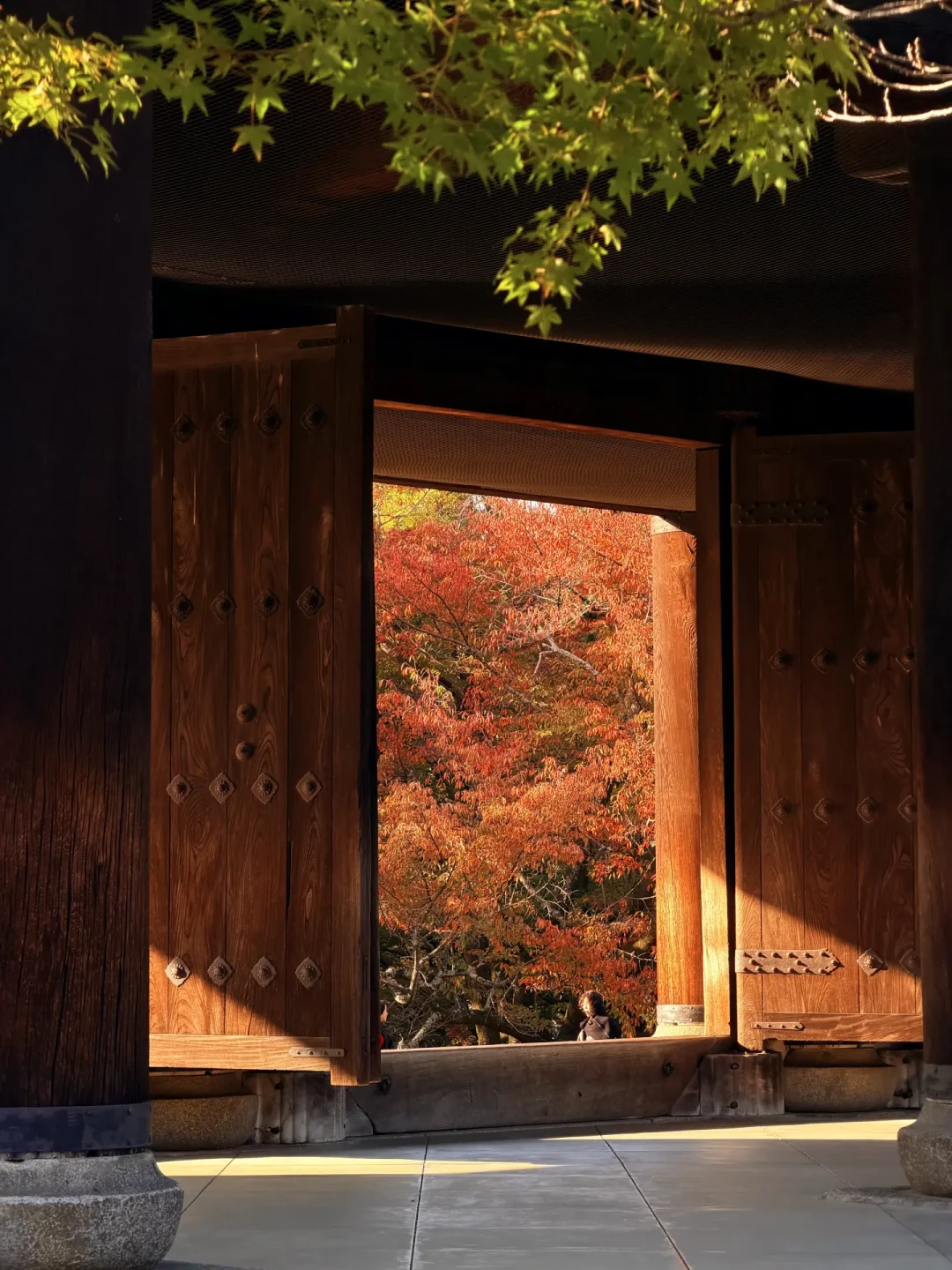 瑠璃光院今年改成了“明信片摇号”,申请已经截止:9月25日出签,11月蹲京都的追枫人只剩三条路
