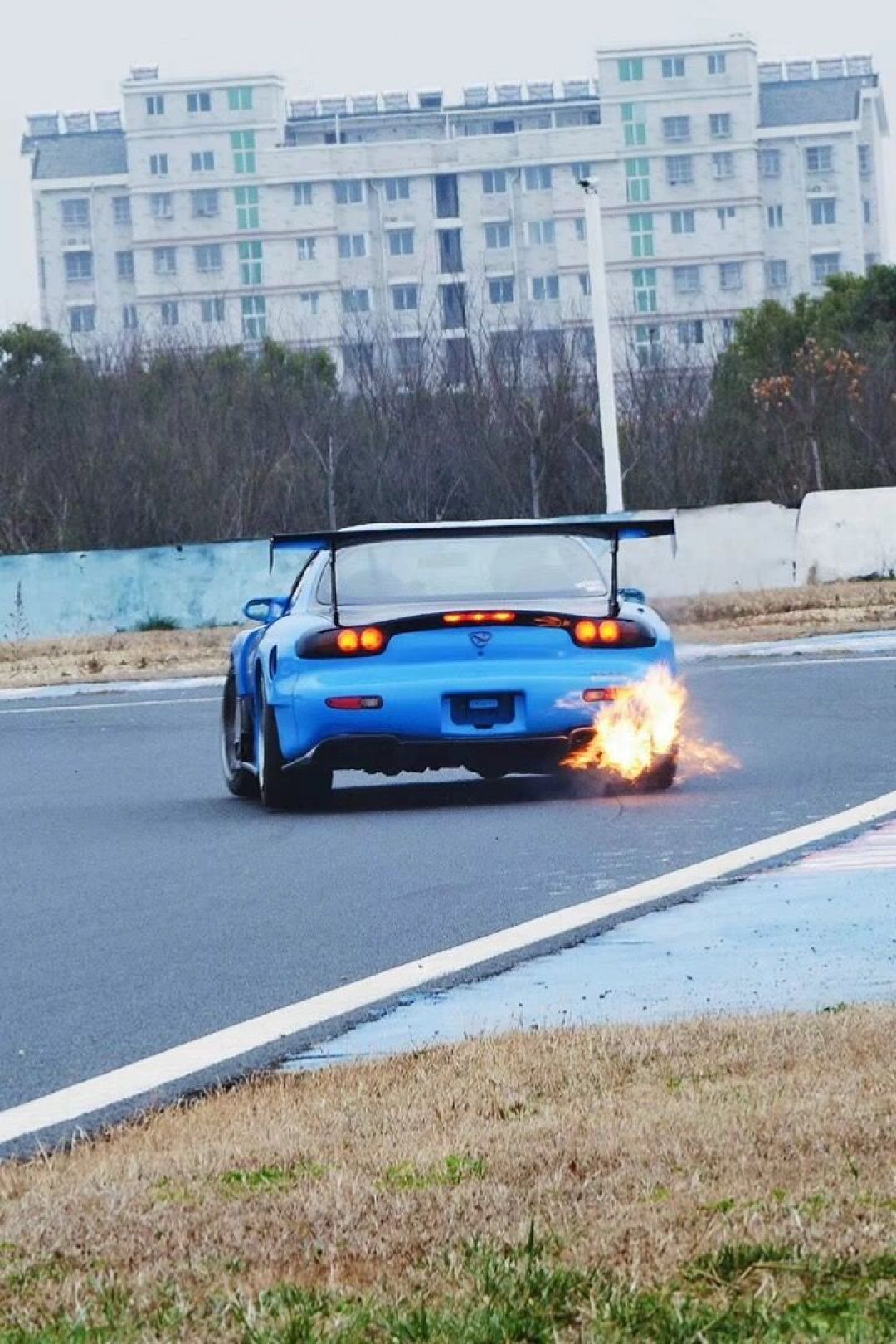 燃油车成