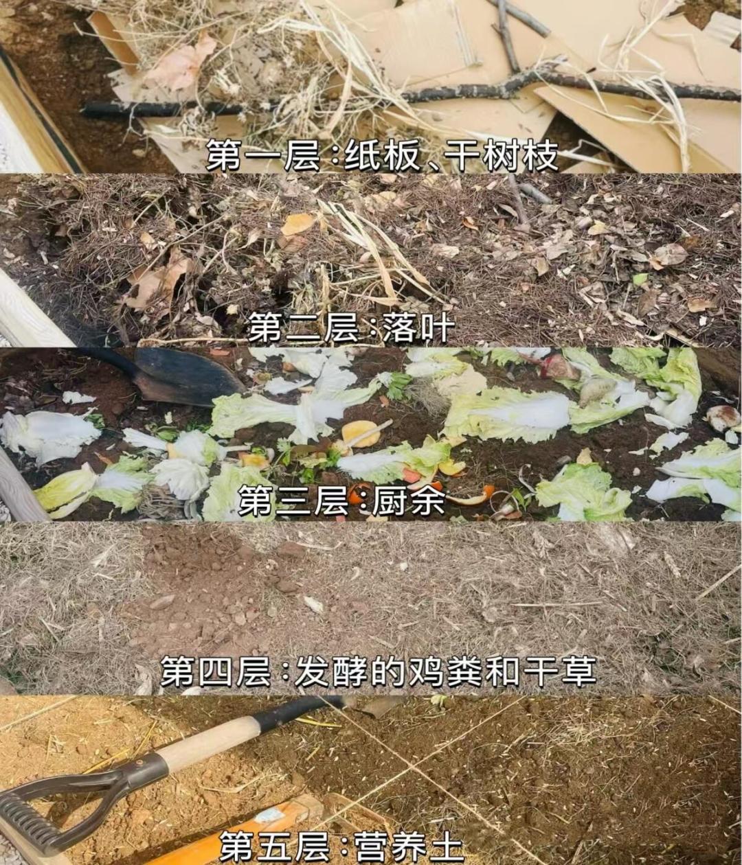 土壤板结买什么?稻壳、羊粪、蚯蚓粪、菌剂排排坐,秋播前把改土这笔账算清楚