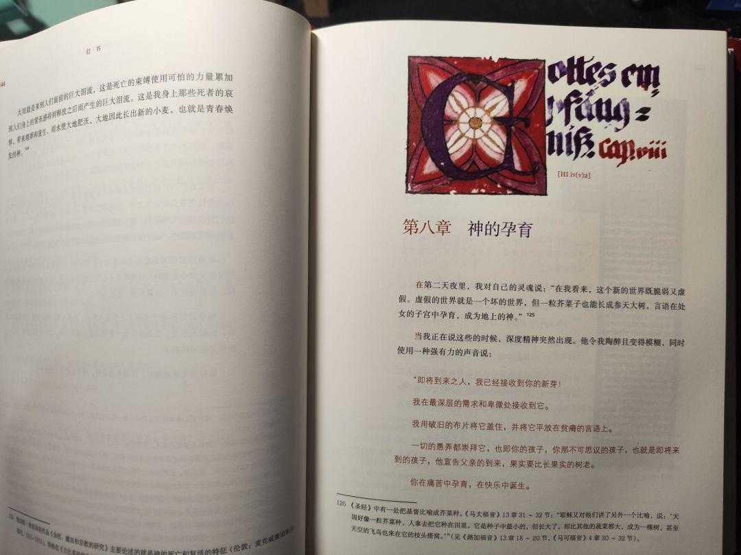 被荣格金句种草后买的《红书》,十有八九读不下去:金句验货+入门避坑书单