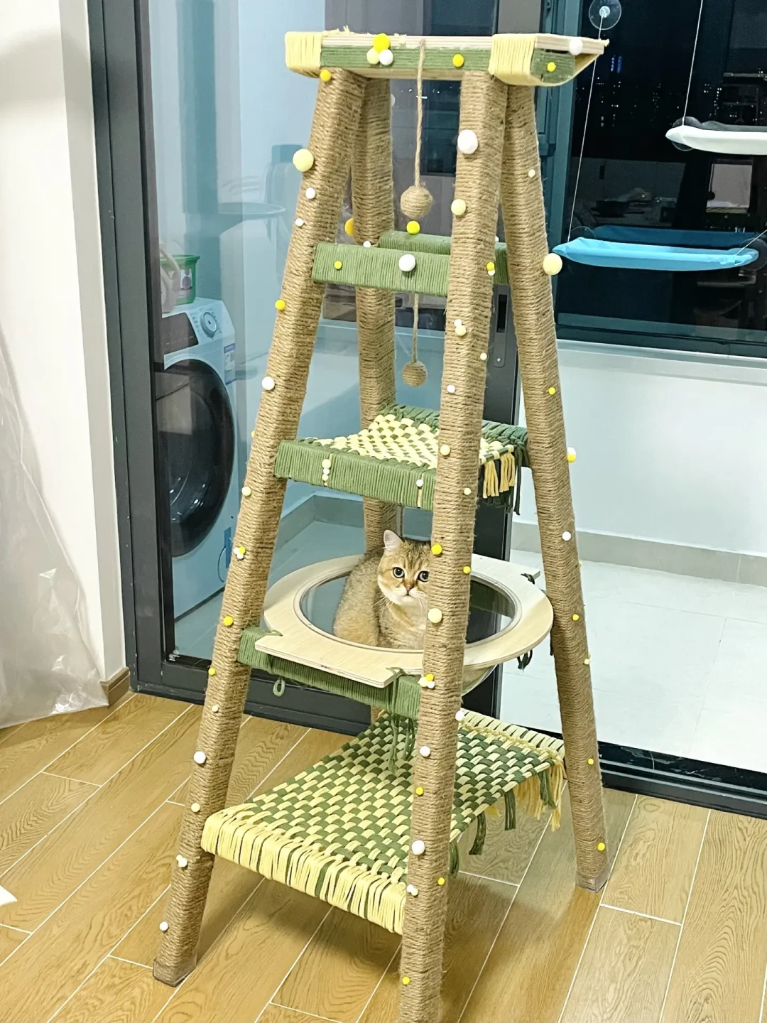 翻完20多篇DIY猫爬架晒单帖和翻车帖：从10元到1300元的5条路线，各自踩什么坑