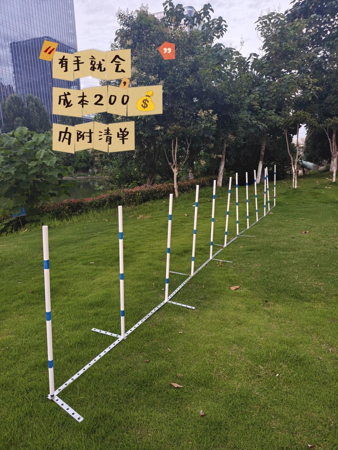 串串犬拿下全国敏捷大赛季军：带狗入坑之前，先把这笔试错费算清楚