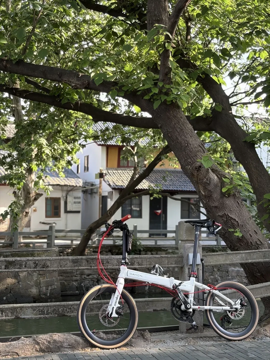 折叠车骑不过20km/h,是我腿不行?把全网骑友实测速度捋了一遍:天花板在哪,提速的钱该怎么花
