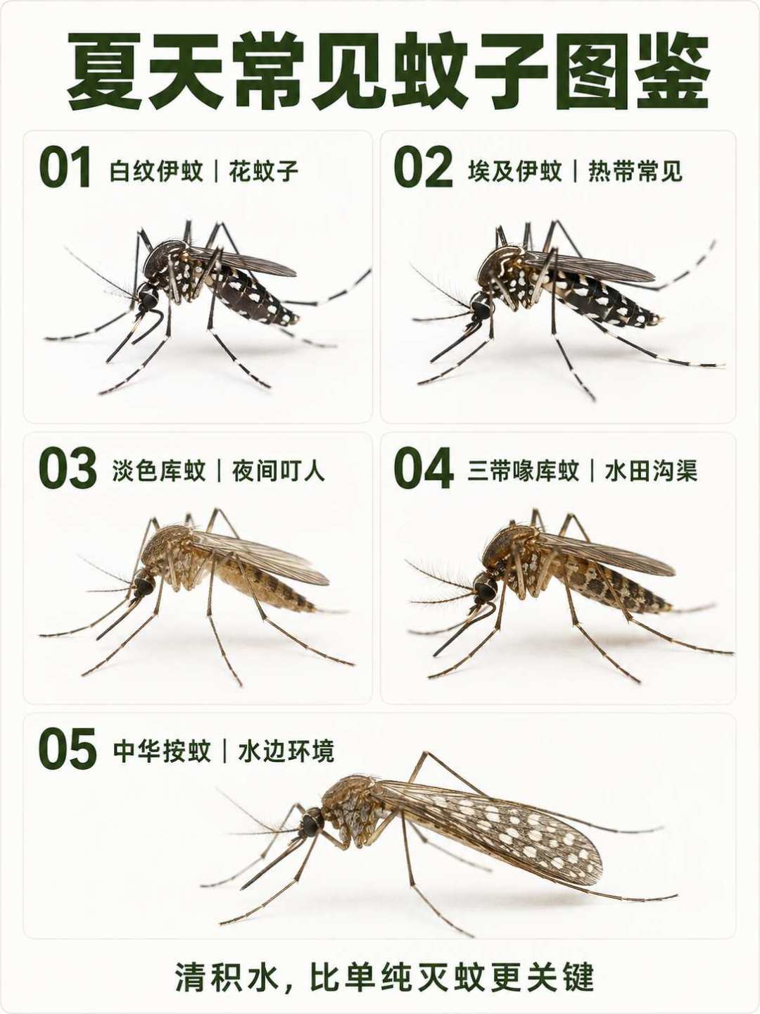 秋后蚊子猛于虎：电蚊香液插错位置等于白插，这3种“智商税”再痒也别下单