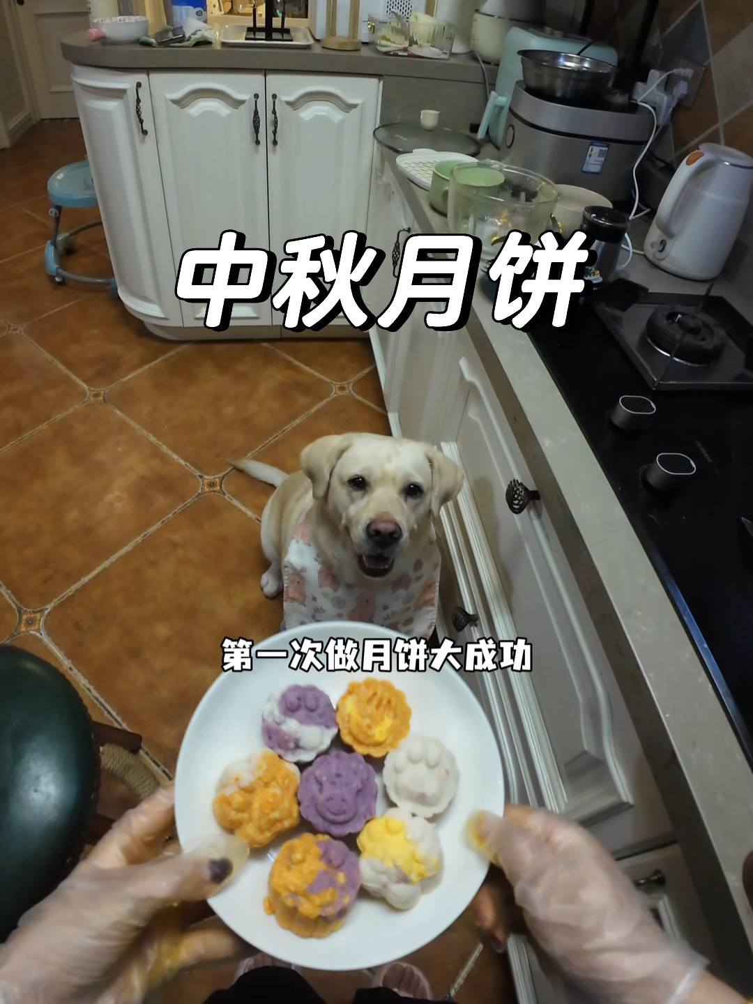 宠物月饼卖10块一个，有的批发只要3块：离中秋36天，给毛孩子下单或动手前先看这份清单