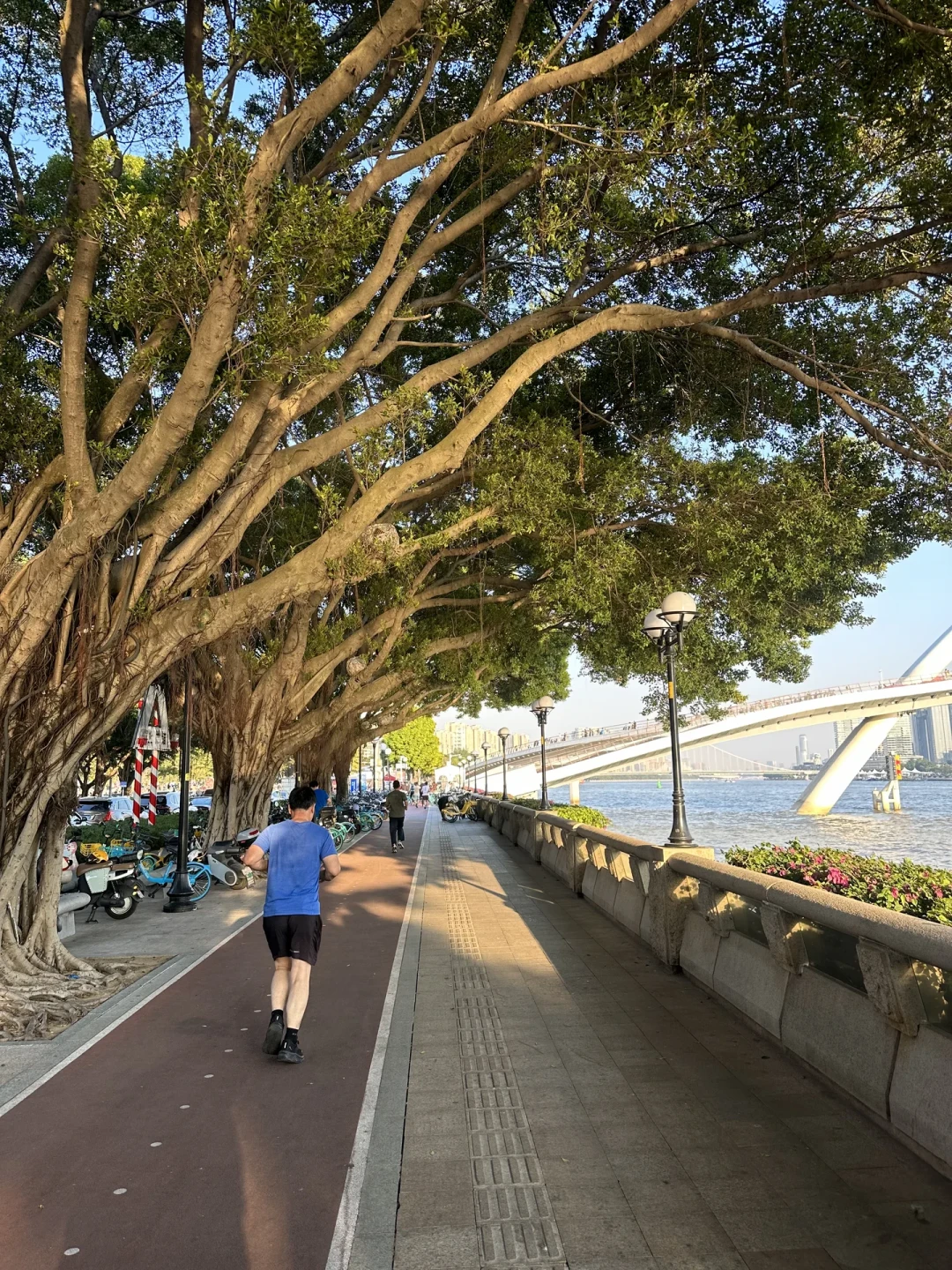 这周日处暑,加长版三伏也到头了:城市徒步的黄金窗口在陆续打开,南北最多差出2个月
