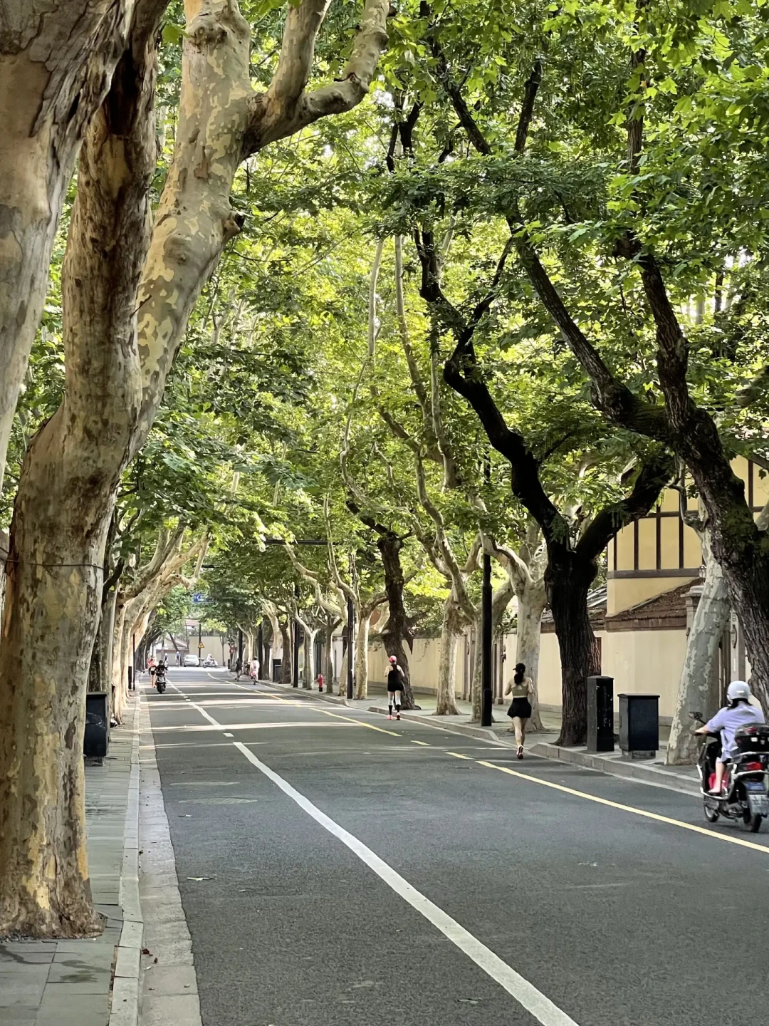 这周日处暑,加长版三伏也到头了:城市徒步的黄金窗口在陆续打开,南北最多差出2个月