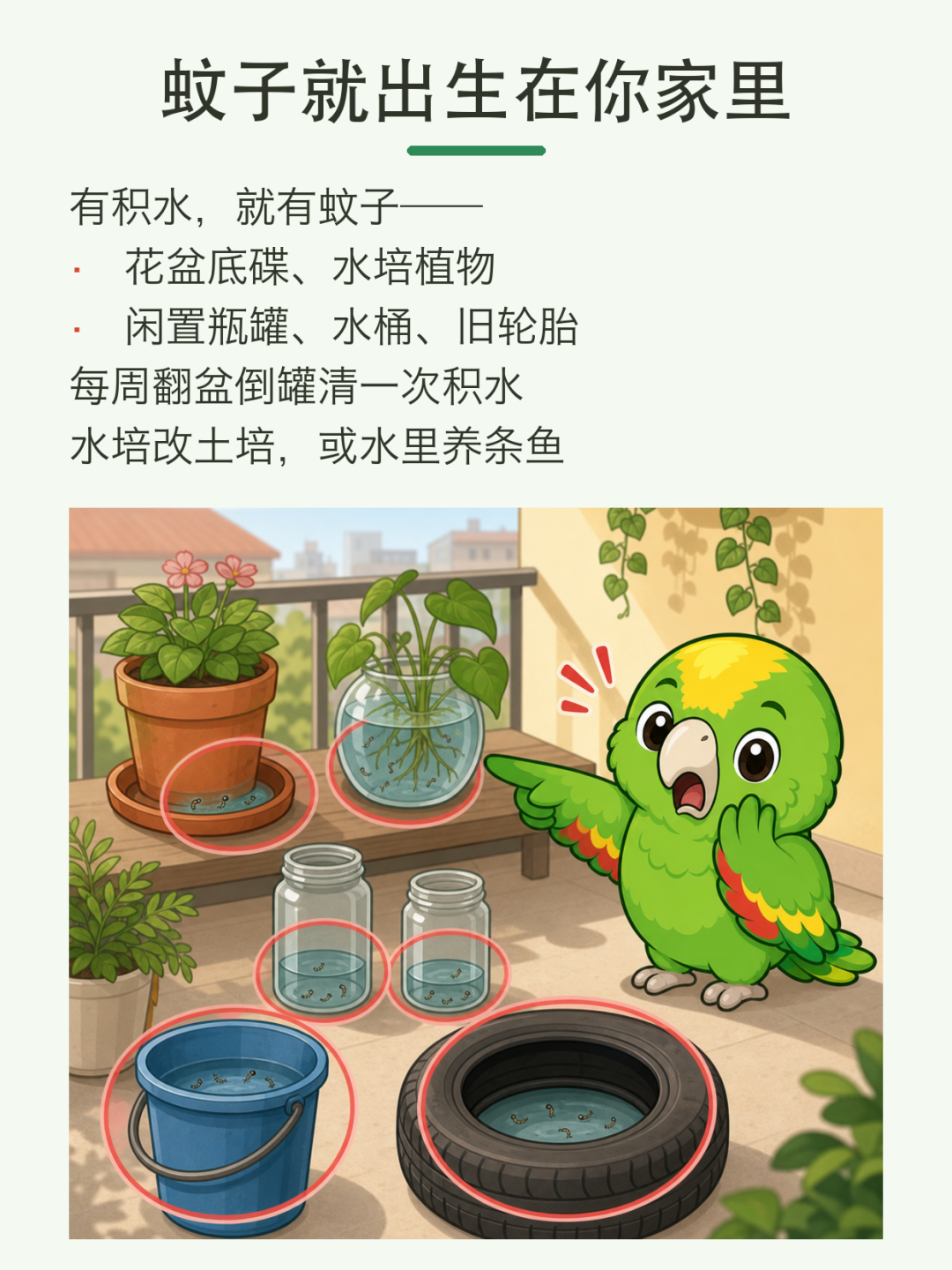 今天是世界蚊子日:秋蚊子为什么咬人更狠?居家防蚊三步+3种智商税避坑