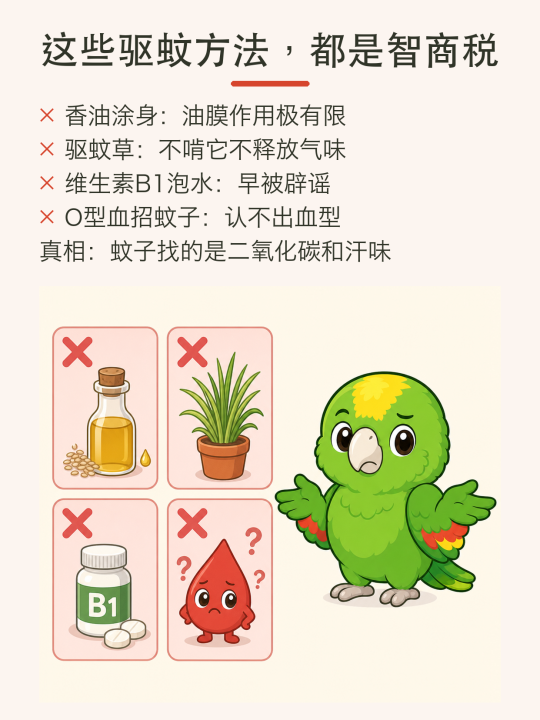 今天是世界蚊子日:秋蚊子为什么咬人更狠?居家防蚊三步+3种智商税避坑
