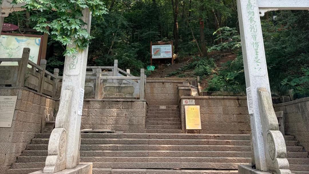 秋季徒步季已经预热,1万人在囤路线:第一次认真进山前,先把三档装备钱的花序捋清