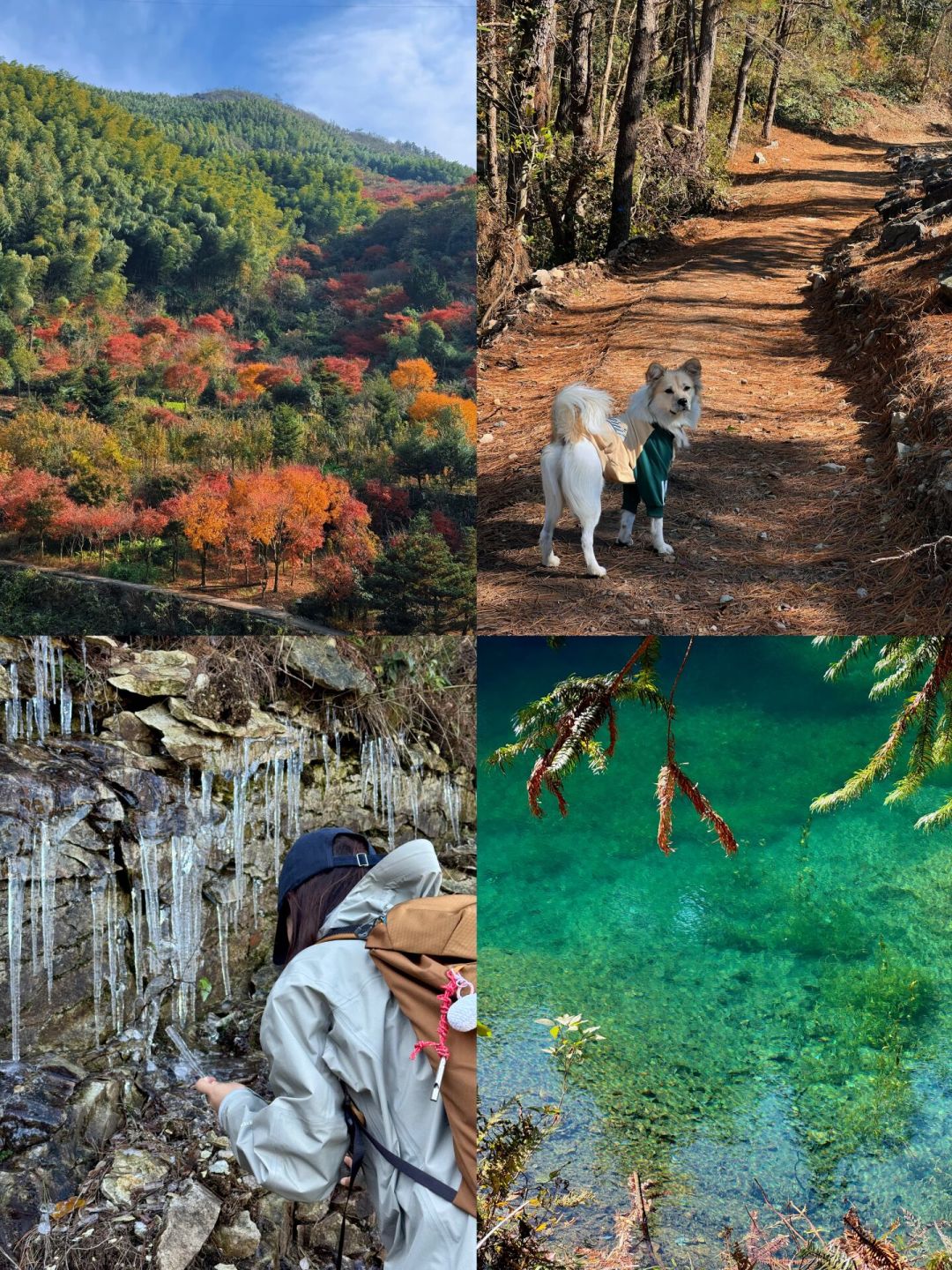 秋季徒步季已经预热,1万人在囤路线:第一次认真进山前,先把三档装备钱的花序捋清
