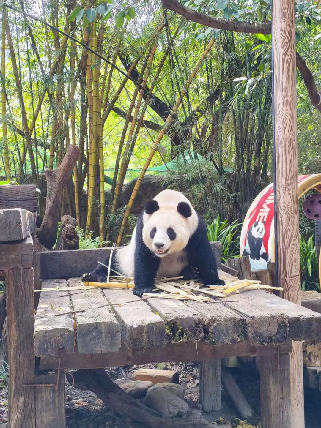 300条评论全在问