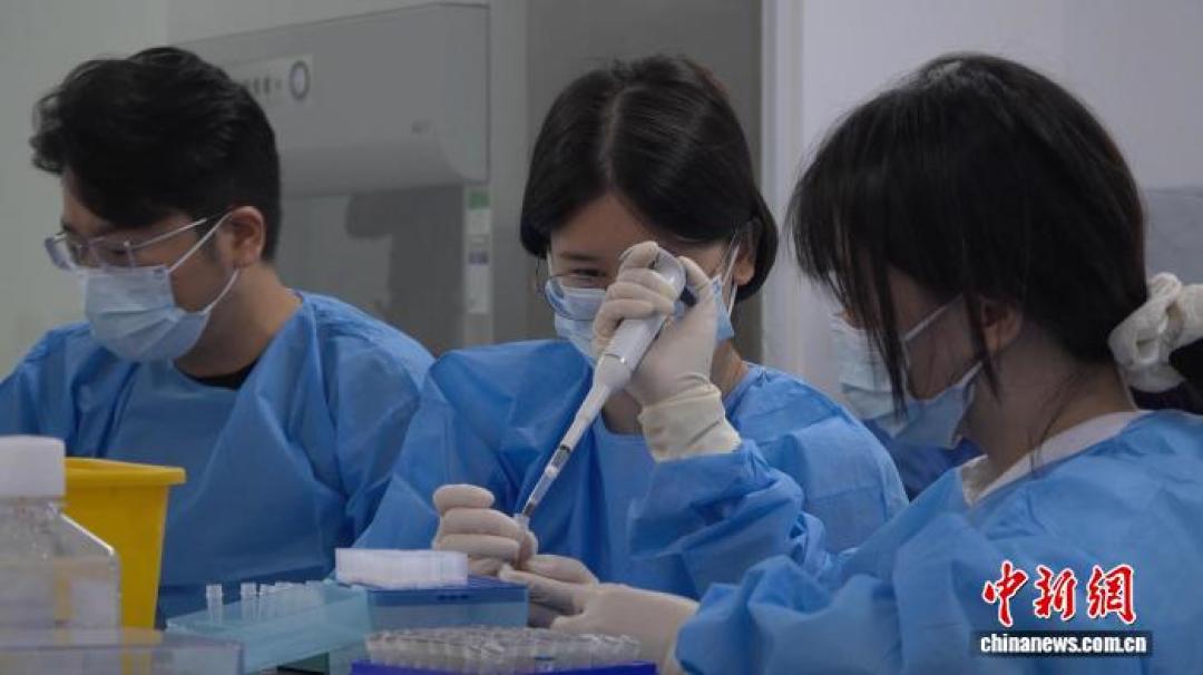 今年秋蚊子比老虎凶,还带病:翻完中疾控提醒、梧州疫情和央视曝光的乱象,防蚊的钱怎么花哪些该砍,一次说清
