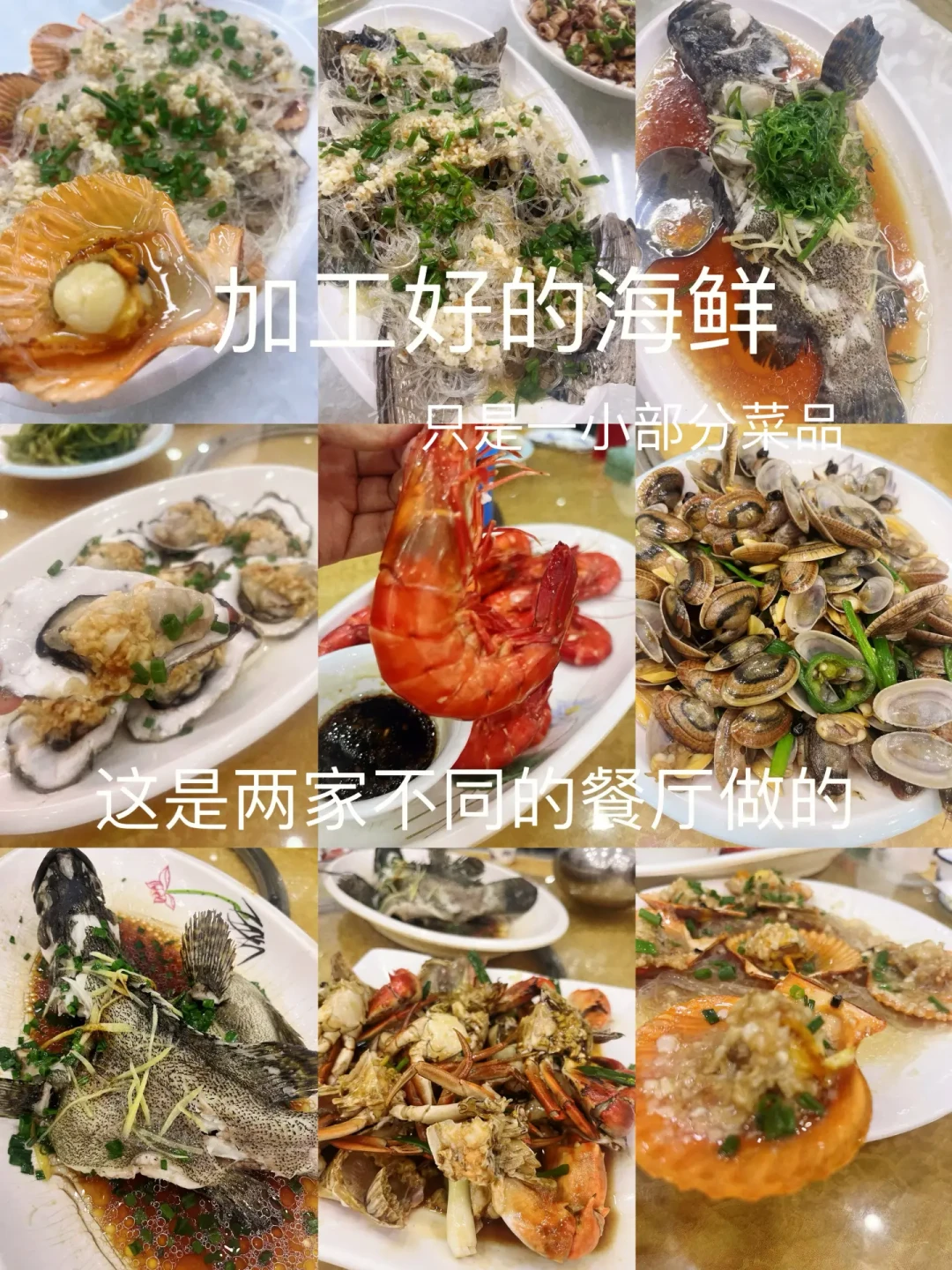 广东开渔：皮皮虾从120元/斤跌到50元/斤？对了5个市场的价目表发现，开渔头两天反而最贵，真窗口期就三周