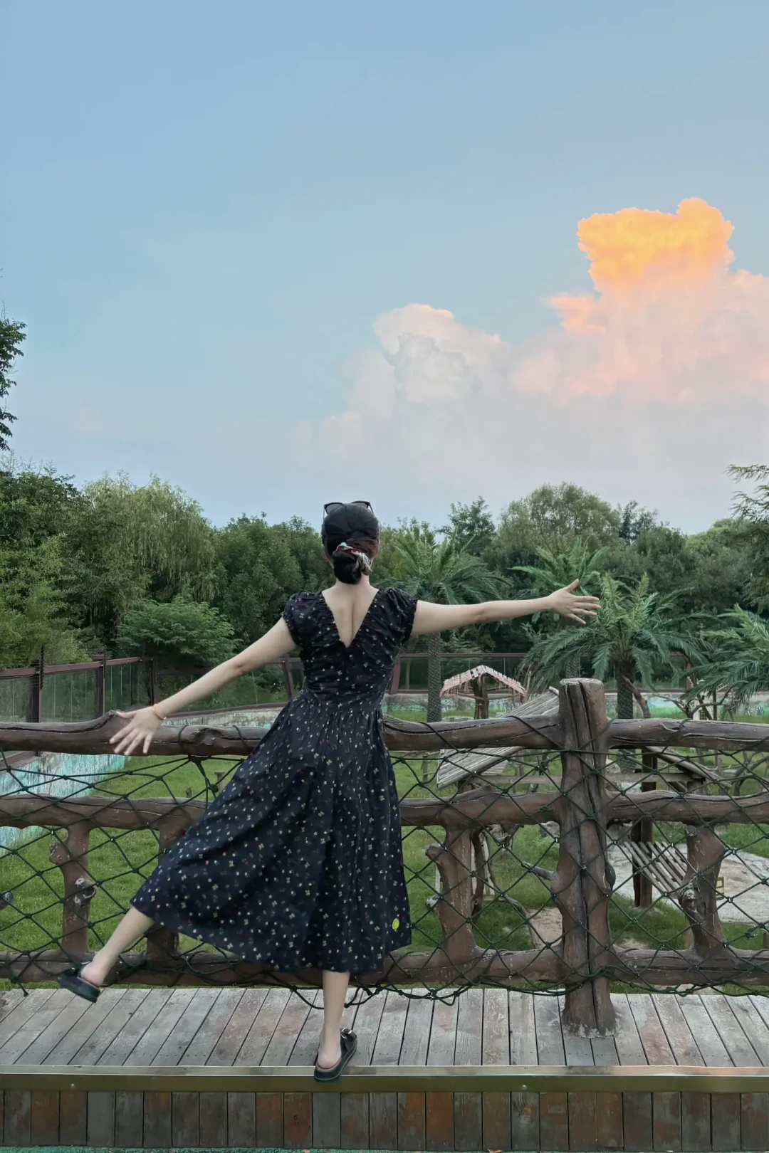 夜场票不是晚上天黑了再去:多数动物园的动物17-18点就“下班”,15-16点入园日夜通玩才值回票价——多数暑期夜场8月30日收官