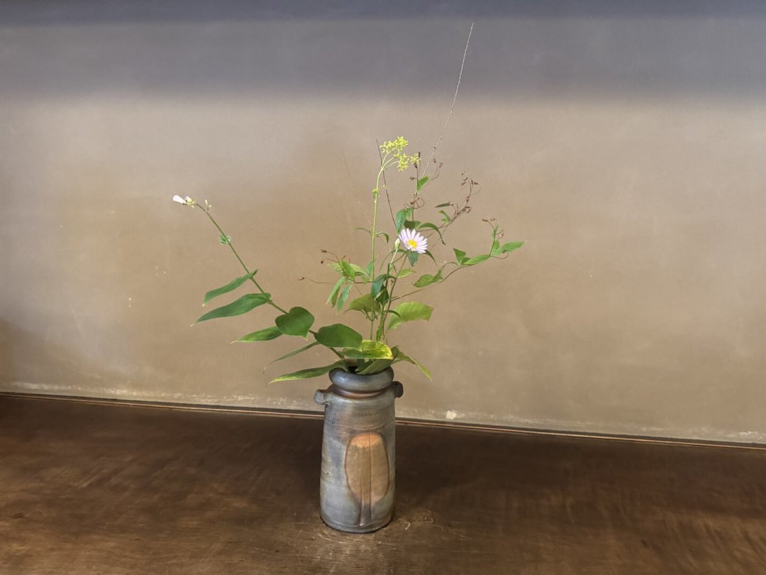 千块的杯被骂“智商税”,几百的又被嘲“丢人”:对完全网约120篇帖,主人杯的钱花在哪、三档预算和五条红线一次说清