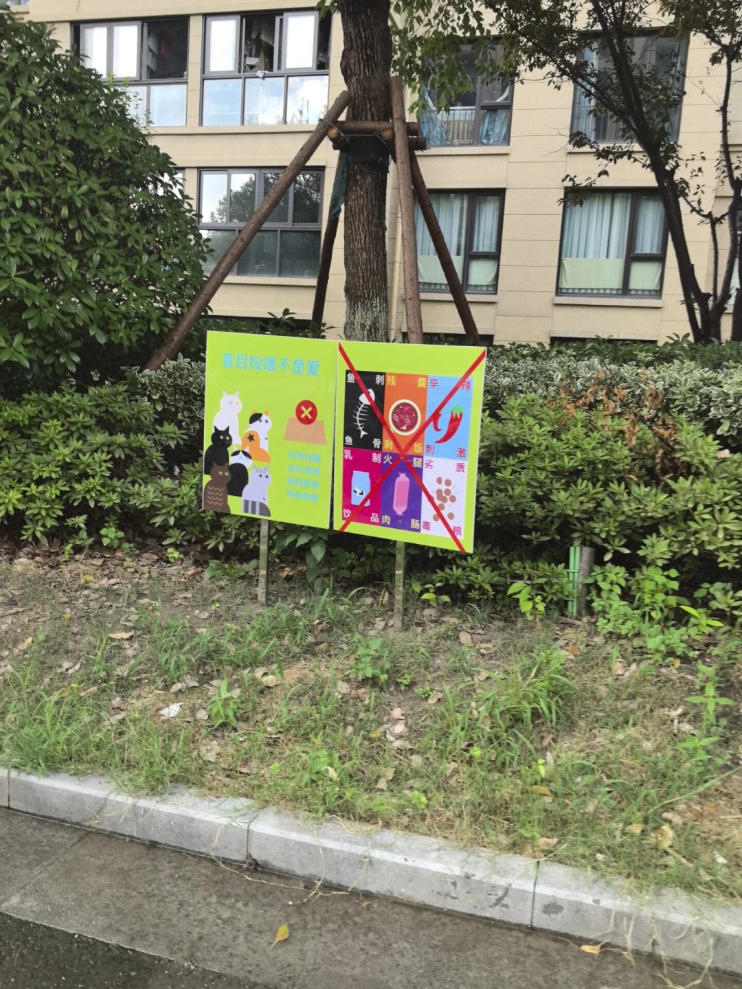 “喂流浪猫被判赔24万”改判了:我翻完三地判决和2026新规,整理出一张投喂风险边界清单