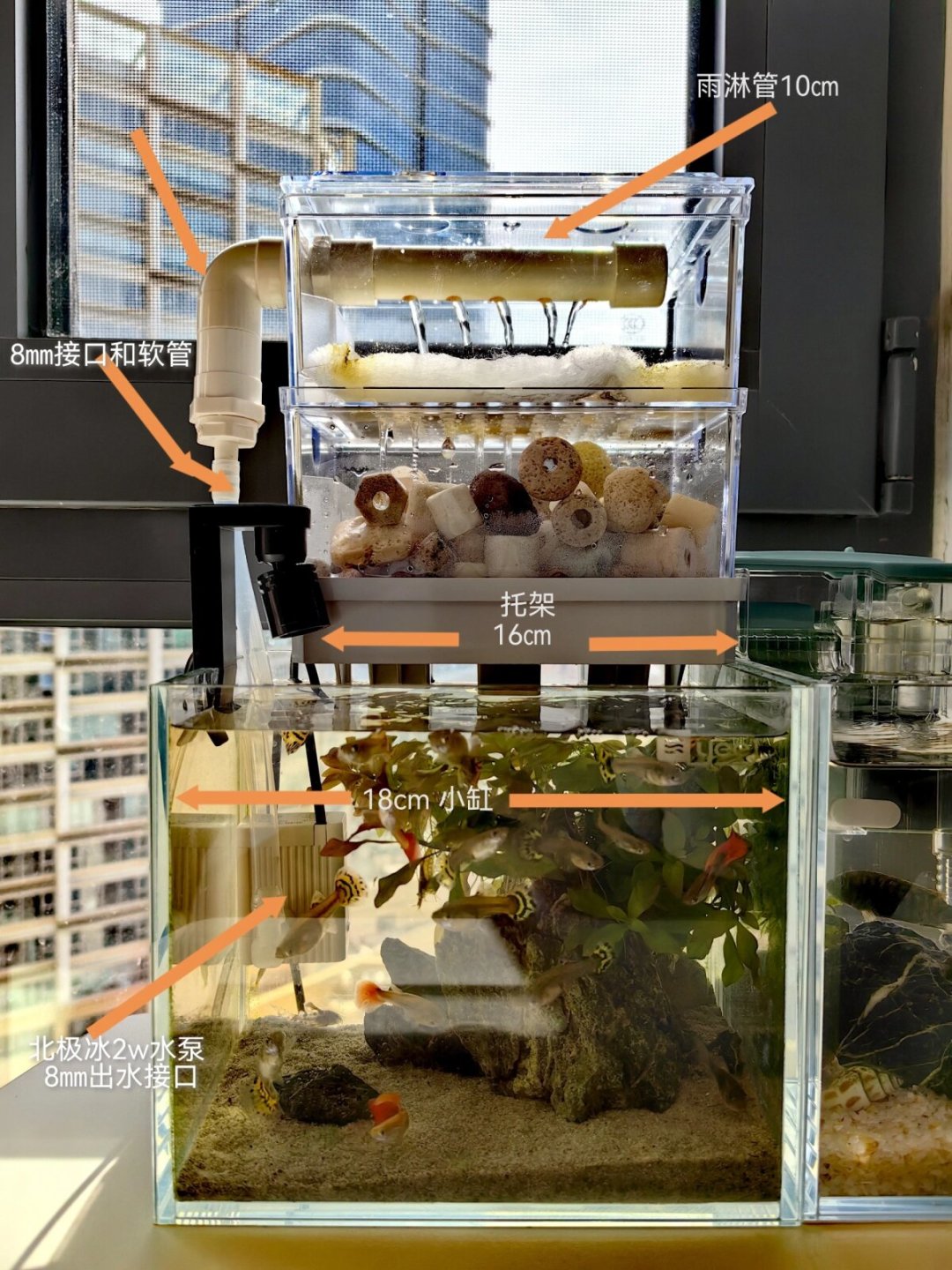 新手养鱼第一个坑就是过滤：老玩家按缸配过滤，这3种白送也别要